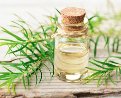 Tea Tree Essential Oil
